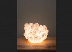 lampa-coral-b-v2